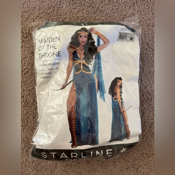 Maiden of the Throne Costume - Picture 4 of 4